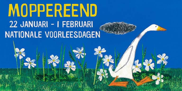 202001 Moppereend afbeelding