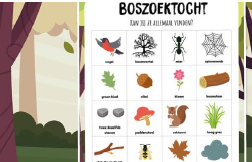 20210909 herfst