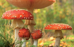 20230919 herfst
