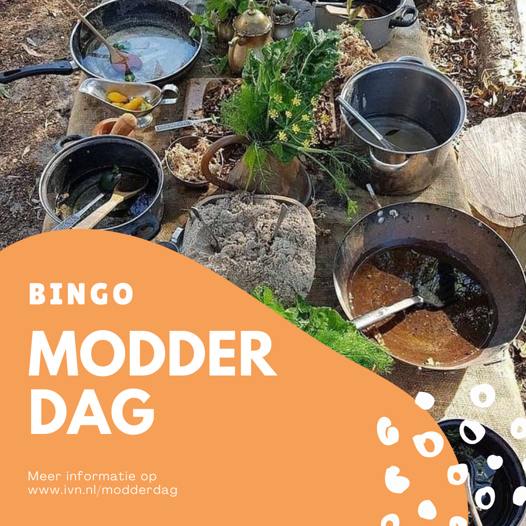 modderdag bingo insta 1
